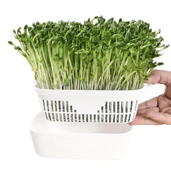  Контейнер для выращивания ростков Гидропонный лоток для выращивания Двухслойный дизайн Термостойкие лотки для создания ростков для различных ростков фасоли